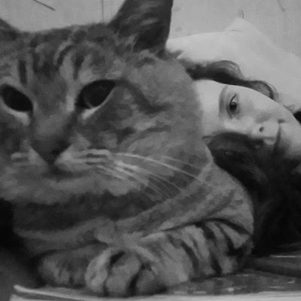 Meet your Posher, Haley